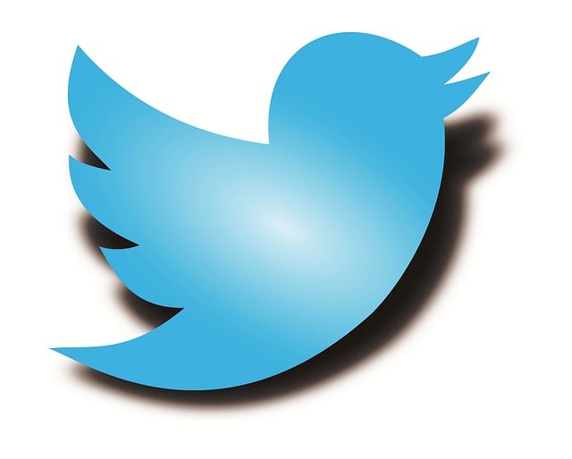 رسم توضيحي لشعار الطيور على تويتر على خلفية بيضاء.