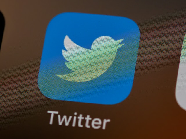 Text: Ein Bild des Twitter-Vogelsymbols, hervorgehoben auf einem Mobiltelefon.
