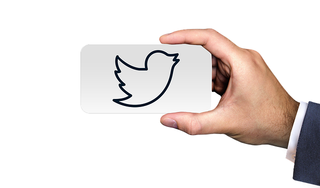 Das Bild einer Hand, die ein weißes Papppapier hält, auf dem ein Twitter-Vogel skizziert ist.