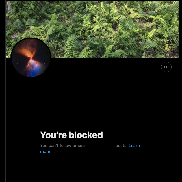 TweetDelete-Screenshot der Profilseite eines blockierten Nutzers.
