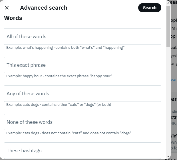 Captura de pantalla de TweetDelete de la sección de palabras en la página de búsqueda avanzada.
