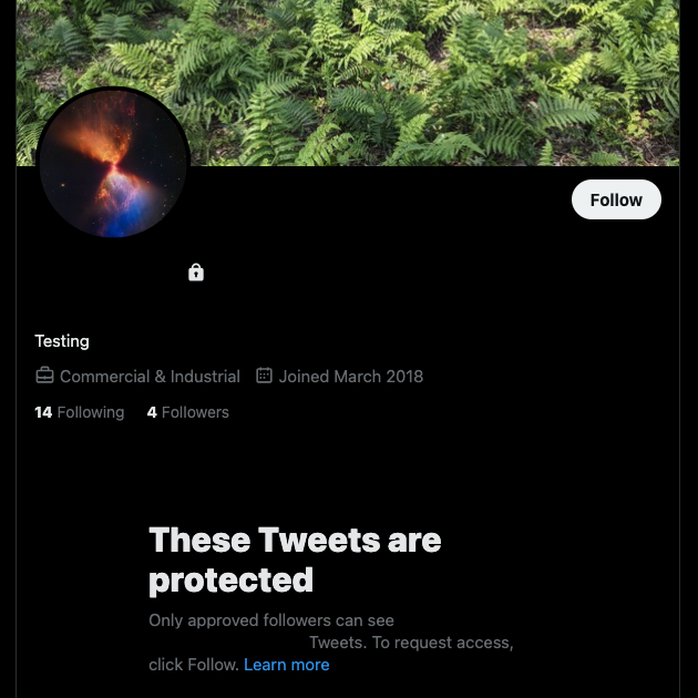 Captura de pantalla capturada por TweetDelete de una persona intentando ver un perfil privado sin seguirla.
