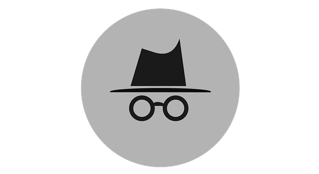 Image du logo incognito de Chrome sur fond blanc.