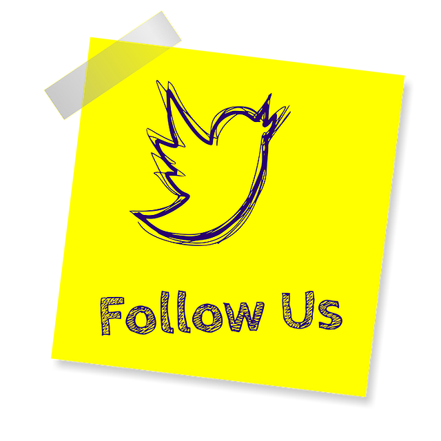 Une photo d'un papier cartonné avec un dessin de l'oiseau de Twitter et la phrase "Follow Us" (Suivez-nous).
