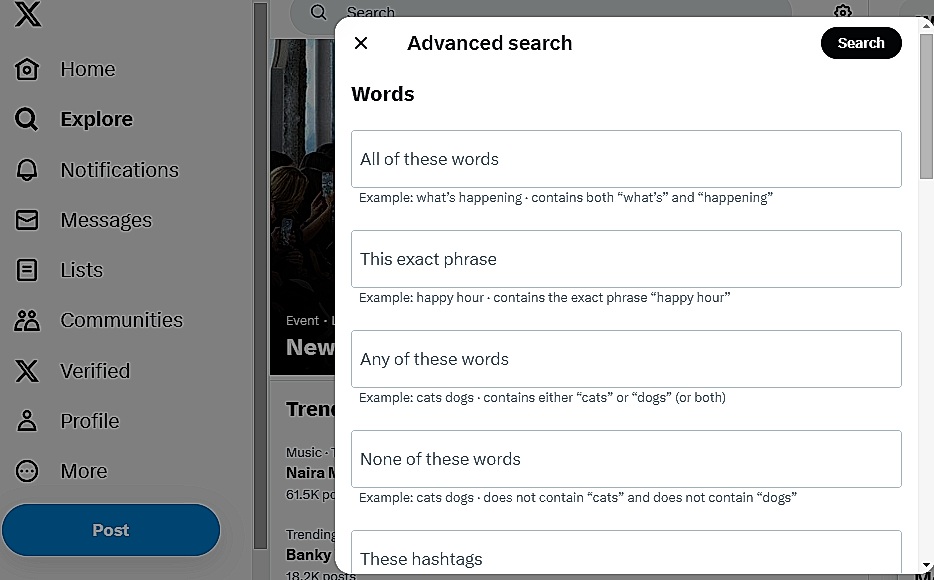 Capture d'écran de TweetDelete de la page X ou Twitter Advanced Search.