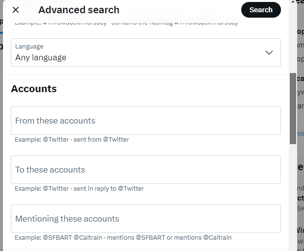 Capture d'écran de TweetDelete de la section des comptes sur la page de recherche avancée.