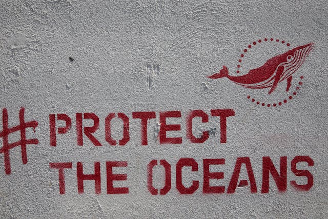 Sebuah tagar (#protecttheoceans) dengan ikan paus berwarna merah di dinding putih.