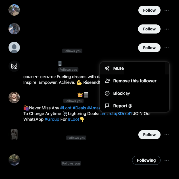 Schermata di TweetDelete della funzione Rimuovi questo follower su X.