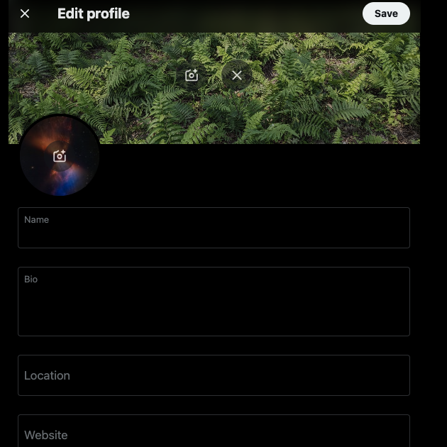Una schermata di TweetDelete per la modifica di un'immagine del profilo su X.