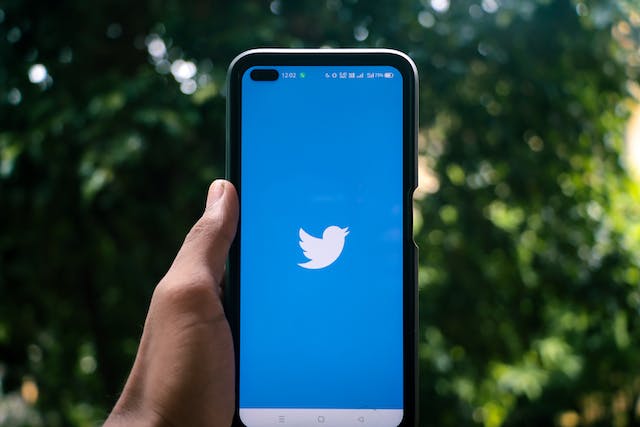 선명한 파란색 화면에 트위터 새 아이콘이 표시된 휴대폰을 손에 들고 있는 사진입니다. 