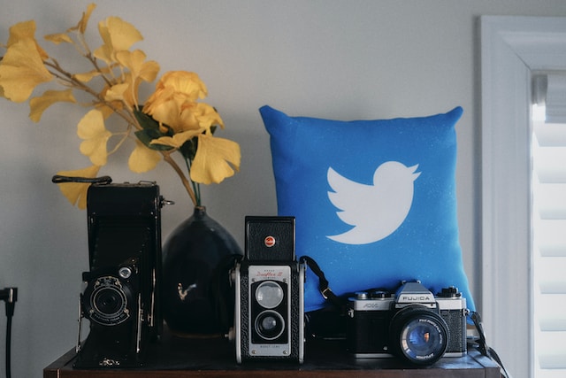 Een foto van een paar oude camera's, een bloemenvaas en een kussen met een Twitter-thema op een tafel.