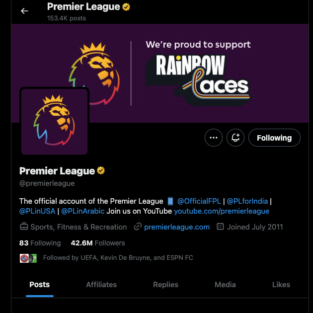 Een TweetDelete screenshot van de pagina van Premier League als voorbeeld van een account met een professionele en relevante handle.