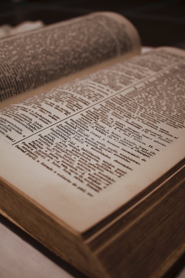 Een close-up van een pagina in een woordenboek.
