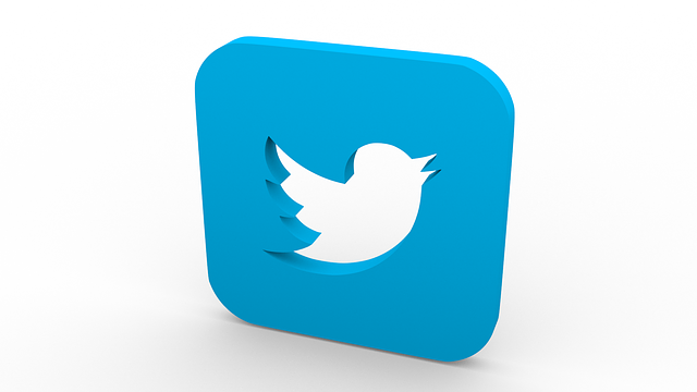 Uma ilustração do ícone do Twitter num modelo 3D representado num fundo branco. 
