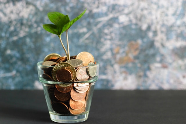 Um vaso transparente com várias moedas e uma planta.
