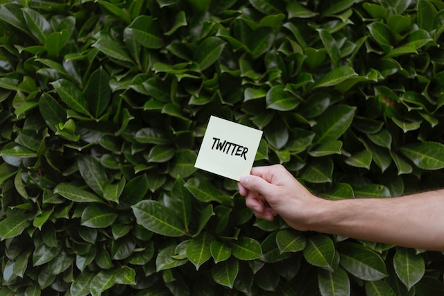 A person holding a card with the word Twitter in front of a bush.