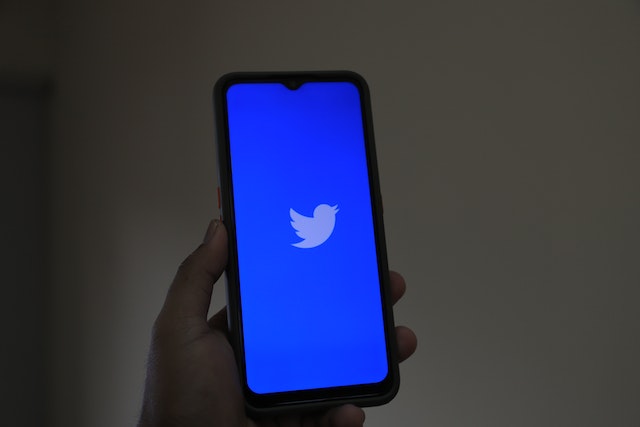 A photo of someone holding a phone displaying the Twitter logo on its screen.