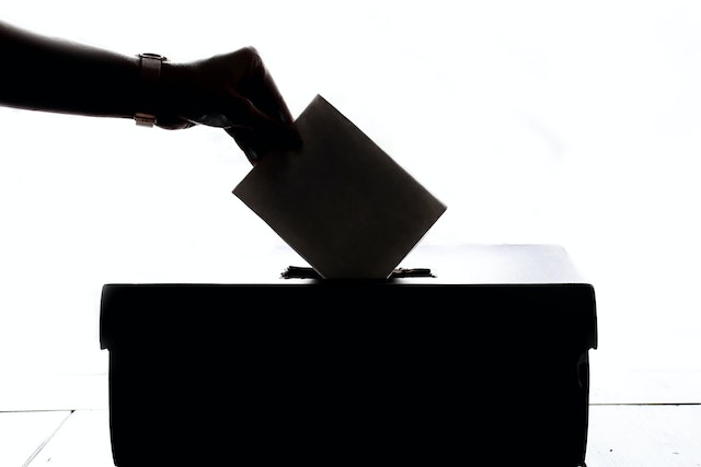 An illustration of a person casting a vote in a ballot box.