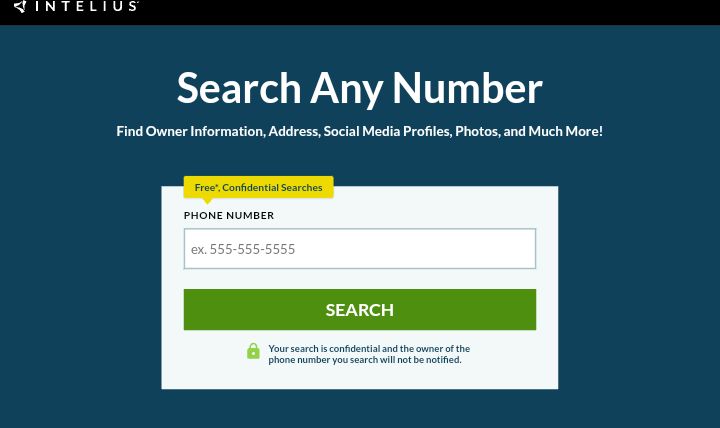 TweetDelete's screenshot of the Intelius webpage with an empty search box and the green search button beneath it.