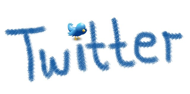 An image of the word Twitter in blue on a white surface with a tweety bird illustration above.
