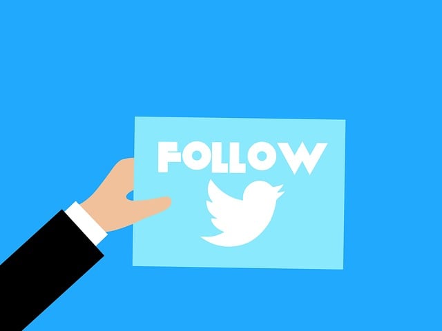 Who To Follow on Twitter: Curating the Best Contacts on X