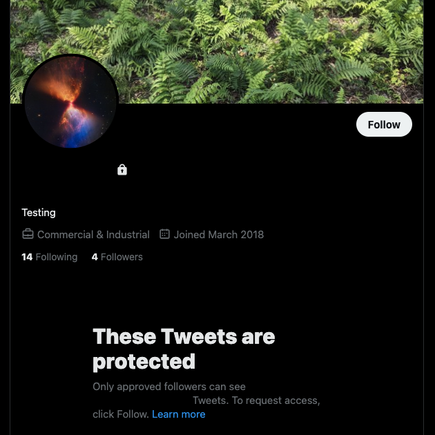  TweetDelete’s screenshot of a private profile on X or Twitter.