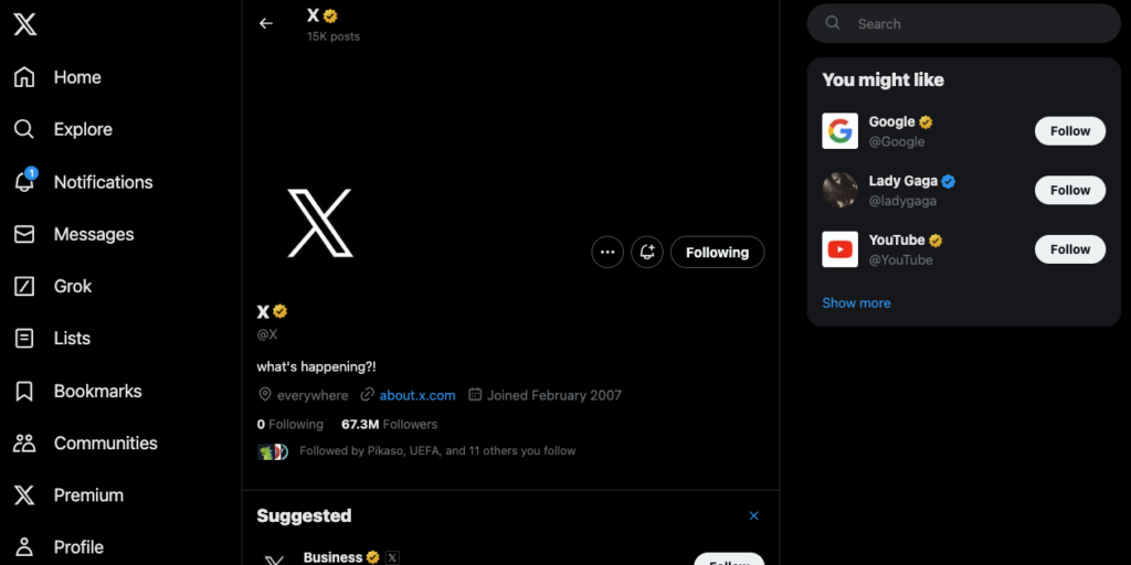 Tangkapan layar TweetDelete dari X yang merekomendasikan akun melalui kartu You Might Like.