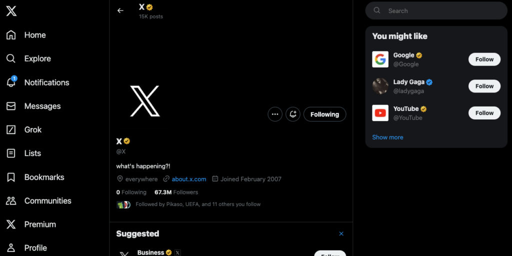 Captura de pantalla de TweetDelete de X recomendando cuentas a través de la tarjeta You Might Like.