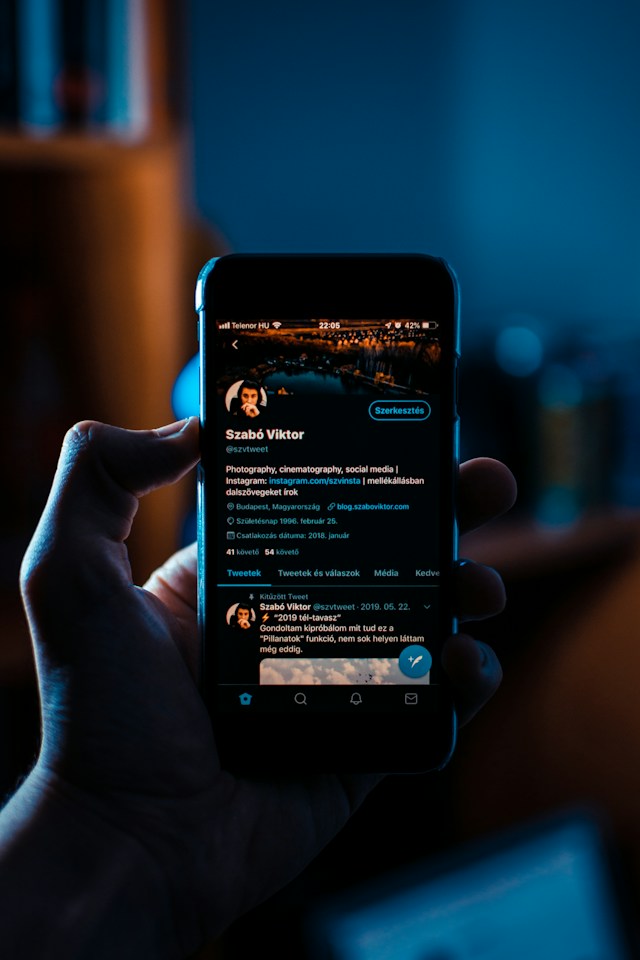 A cellphone displays a Twitter user’s profile page in dark mode.
