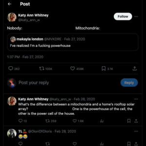 Funny Twitter Posts | Examples and Guides | TweetDelete