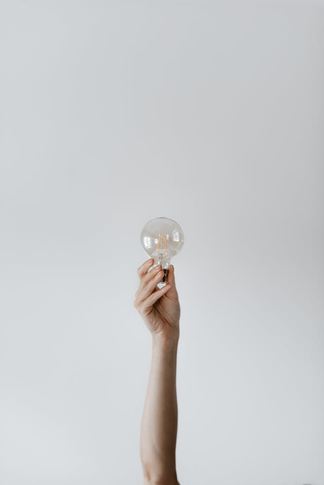 An individual holds up an incandescent bulb.
