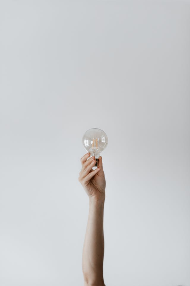 An individual holds up an incandescent bulb.