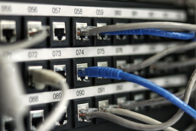 A close-up of multiple blue and white RJ45 cables and their connectors.