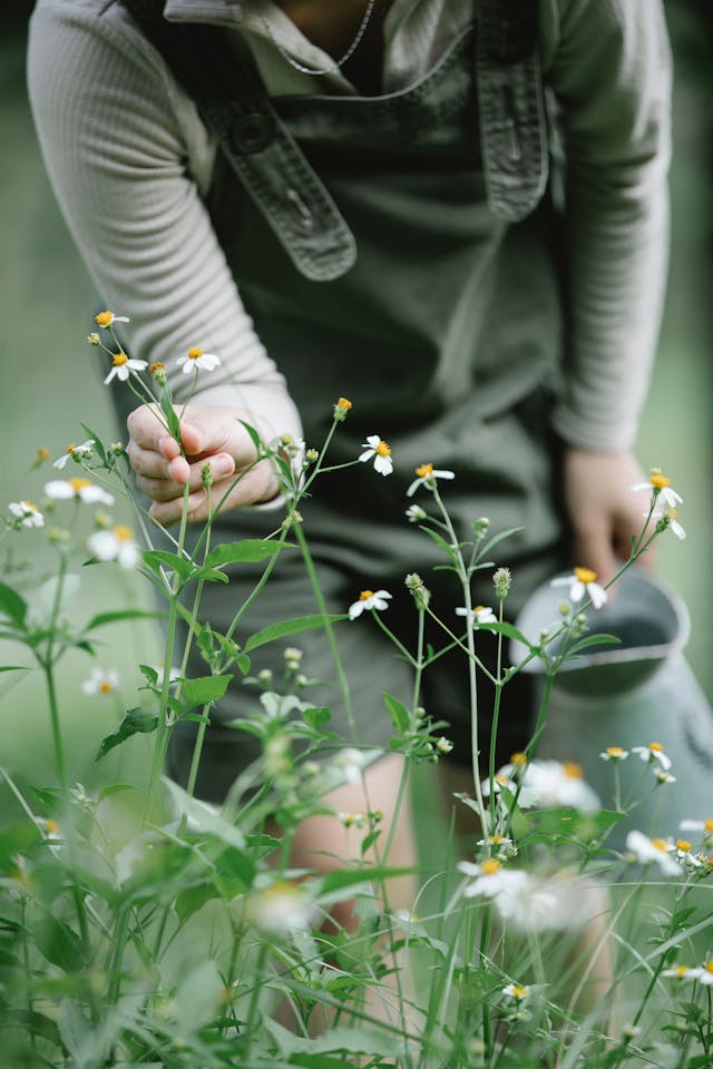 Eine Person in grüner Latzhose und weißem Hemd pflückt einen Blumenstrauß.