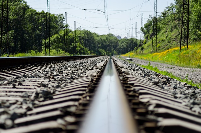 A close-up of the rail on a railway track near a wooded area.