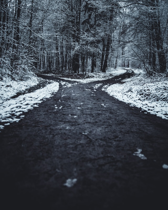 A fork in a snowy road in a wooded area.