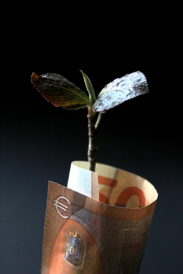 Una planta emerge de un billete de 50 euros marrón y naranja.