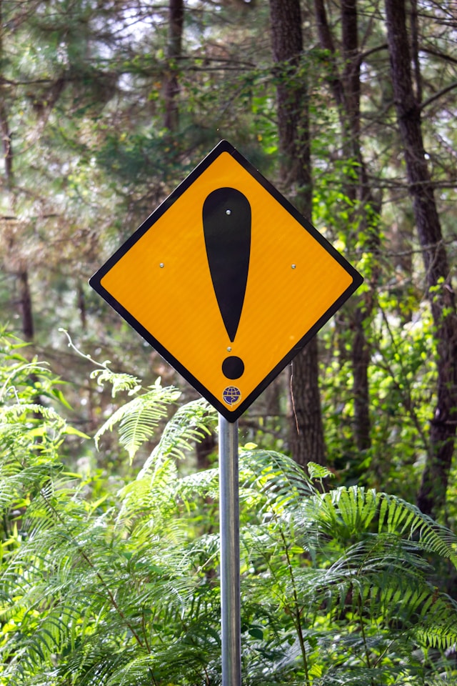 A yellow sign with a black exclamation mark in a wooded area.