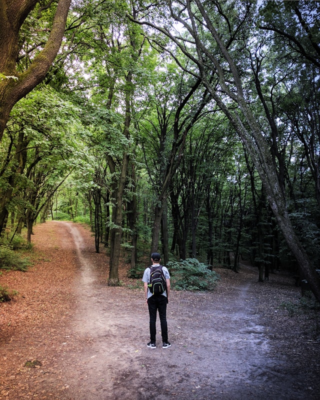 A man with a purple shirt and black pants stands on a fork in the road in a wooded area.