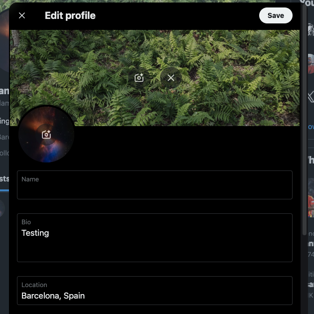 TweetDelete's screenshot van de Edit Profile popup op Twitter.