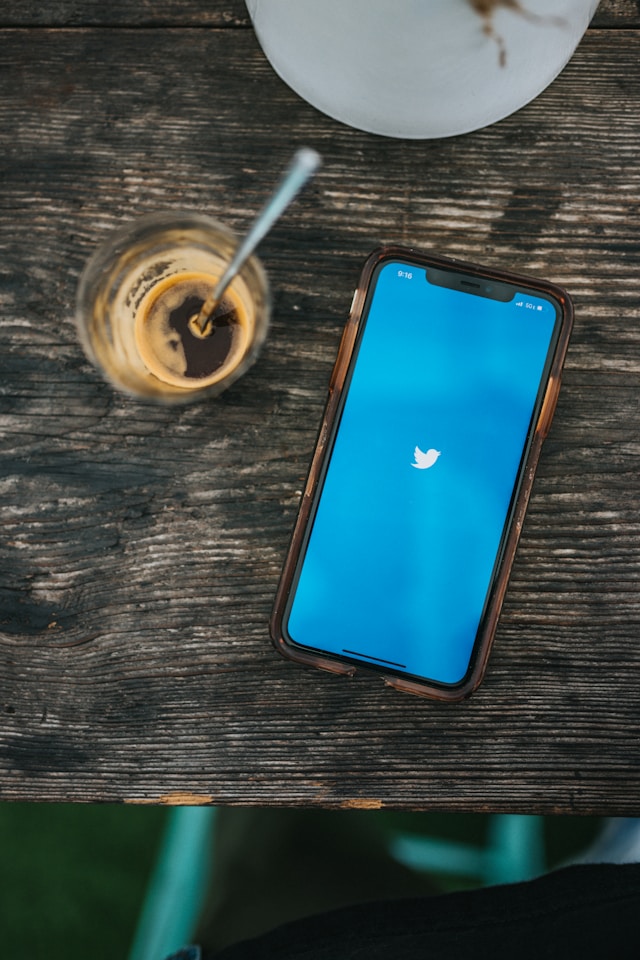 Twitter’s old logo with a blue background on an iPhone.