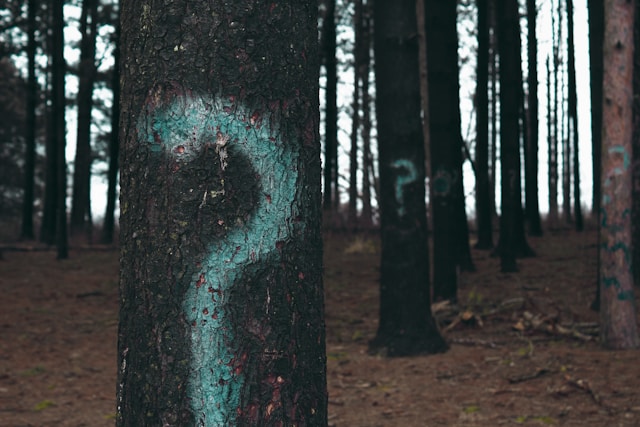 Più alberi con punti interrogativi color ciano sulle cortecce.