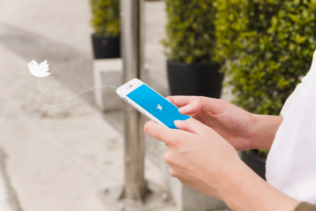 The person is holding a phone with a Twitter splash screen and a small bird flying away from it.