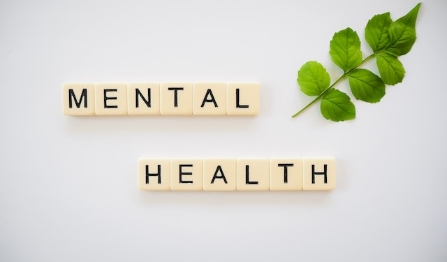Scrieți "sănătate mintală" folosind blocuri de litere lângă o crenguță cu șapte frunze verzi.