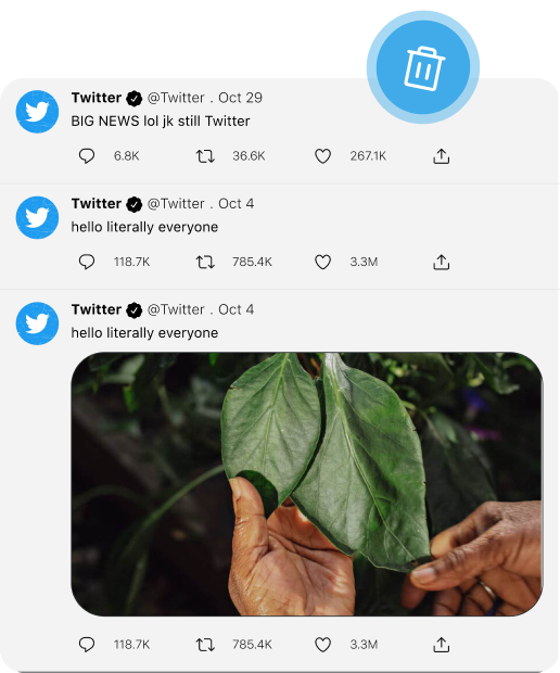Auto-Delete Feature
